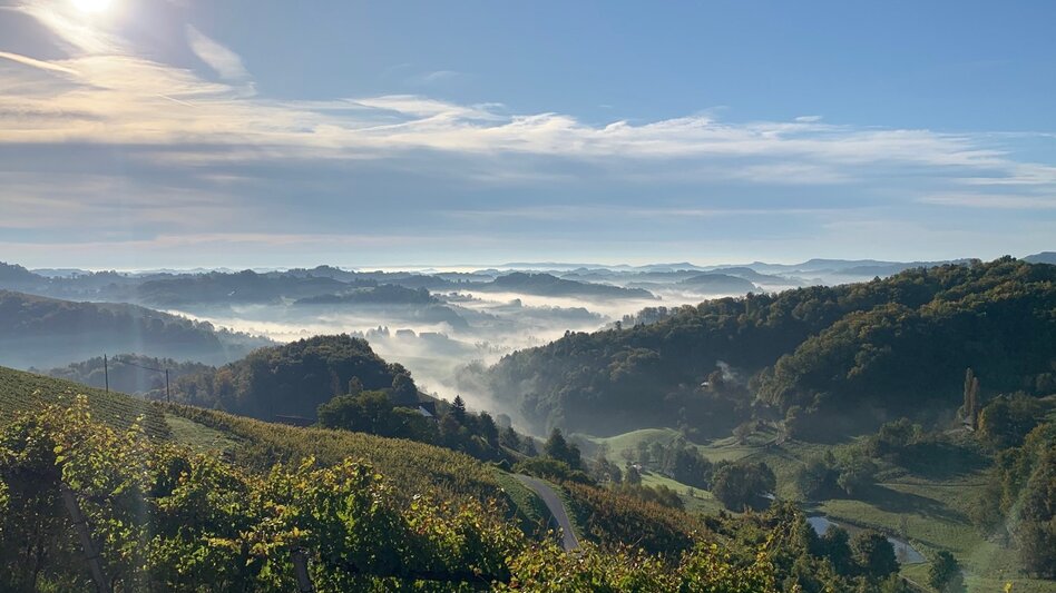 Die atemberaubende Schönheit der Südsteiermark raubt mir immer wieder den Atem. Man nehme z.B.  die wunderbar eingerichteten „Winzarei“ Winzerhäuser des Weingut Tement, den Balkon mit der herrlichen Aussicht, ein gutes Glas Wein, Nebel steigt auf und aus dem Wald röhrt ein Hirsch. Da möchte man die Welt anhalten. Und morgens steht ein Frühstückskorb mit einem kleinen Blumenstrauß vor der Türe. - Erich Neuhold | © Steiermark Tourismus | Erich Neuhold