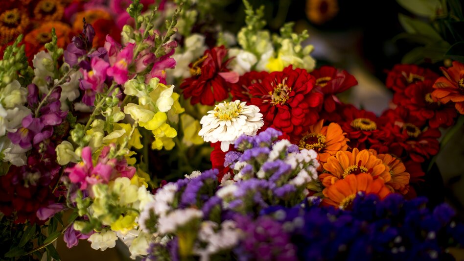 Im Blumenparadies: Margrit De Colle ist die erste Bio-Blumen-Bäuerin Österreichs und bewirtschaftet einen Blumenacker, von dem alle Hobby-Gärtnerinnen wie ich es bin, nur träumen können. Ihren Wissenschatz gibt sie in Workshops weiter und macht dadurch die Welt auch bei mir zuhause etwas bunter. Noch dazu gibt es im Gartencafé Köstliches mit essbaren Blüten dekoriert – für viele sehr ungewohnt. - Belinda Schagerl-Poandl | © STG | Tom Lamm