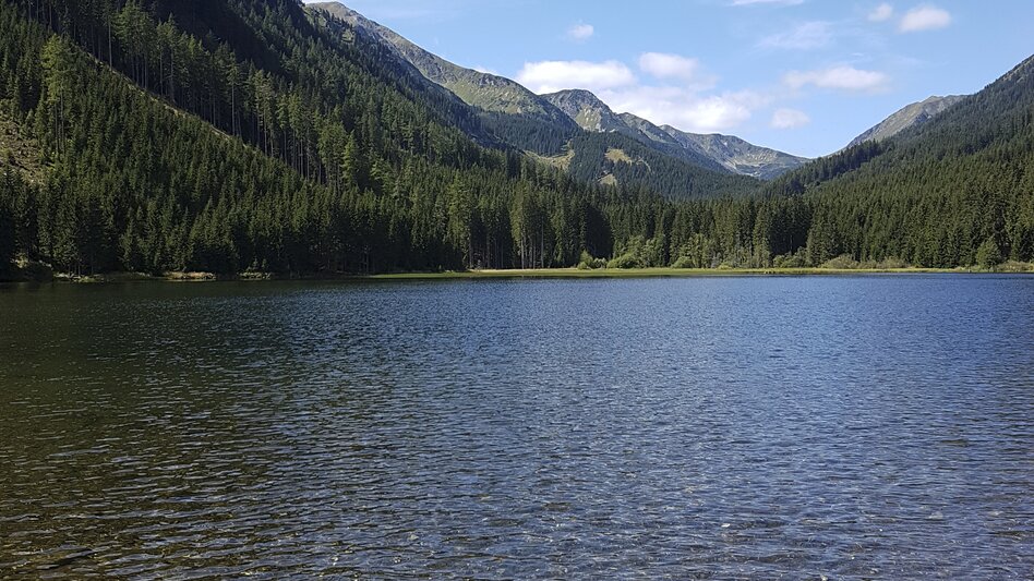 Der Ingeringsee: Weil es dort so wunderschön grün ist und sich Geist und Seele herrlich erholen können. Ein bequemer Wanderweg durch den Wald und dann hat man plötzlich den See vor sich. Eingebettet in ganz viel Grün 😊 Man sollte auch unbedingt eine Runde um den See spazieren. - Veronika Jeitler-Trummer | © Steiermark Tourismus | Veronika Jeitler-Trummer