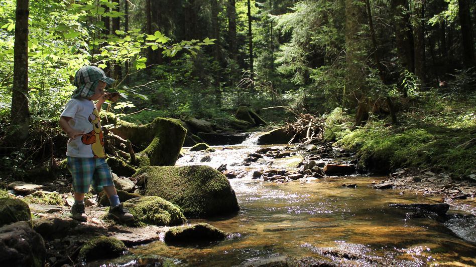 Wasserweg Miesenbach: Ich gehe den Wasserweg sehr gerne, weil er so gemütlich zu erwandern ist und für die ganze Familie passt. Mal die ganze Runde oder nur eine von den Teilstrecken, ausgehend vom Dorf ist man sehr flexibel. Und im Herbst wird’s so schön bunt. Manchmal hab ich einen Rucksack dabei, dann machen wir ein Picknick oder wir kehren zwischendurch ein. - Jutta Hirzabauer | © Steiermark Tourismus | Günther Steininger