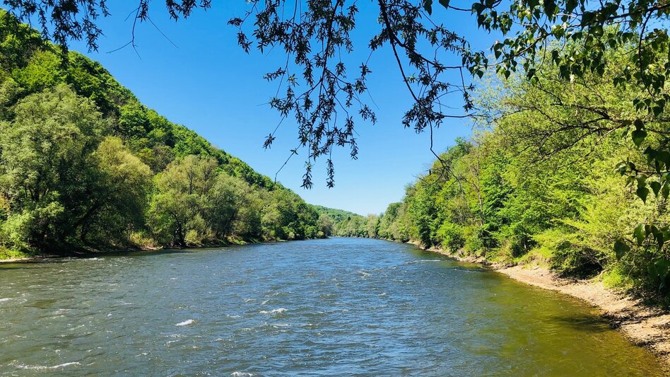 Die Mur: Fluss-Lebensader des Grünen Herzes: ob beim Eintritt in die Steiermark von Salzburg kommend, im Raum Graz oder ganz im Süden, bevor sie weiter nach Slowenien fließt. Eingebettet in unterschiedliche Landschaften, unterschiedlich erlebbar über unterschiedliche Aktivitäten vom Radfahren, übers Spazierengehen bzw. Wandern bis zum Mur-Schauen je nach Jahreszeit. - Ute Hödl   | © Steiermark Tourismus | Ute Hödl