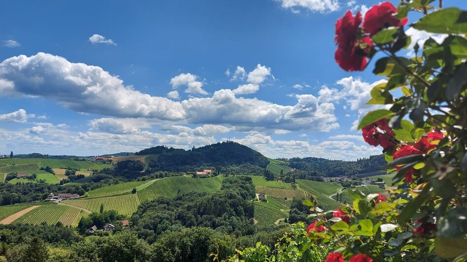 Wenn man vom steirischen Weinmeer spricht, also den Weingärten, die sich wellenartig fortsetzen, dann kann man dieses bei Ratsch herrlich bestaunen und sich davon beeindrucken lassen. Am besten im Kreis drehen: Dann schaut man Richtung Windische Büheln nach Slowenien, Weinebene und Koralpe, dann Wielitsch, Ratschergraben, Ottenberg, Graßnitzberg,… Weingärten über Weingärten und damit eine der schönsten Weinlandschaften der ganzen Welt 😊 - Ute Hödl | © Steiermark Tourismus | Ute Hödl