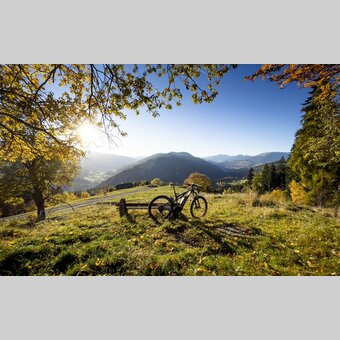 Blick ins Mur- und Wölzertal | © STG | Tom Lamm