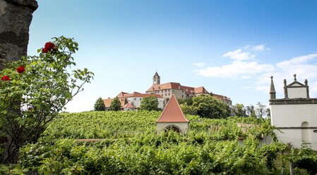 Riegersburg mit Weingarten | © STG | Günther Steininger