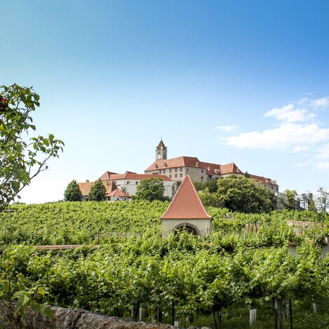 Riegersburg mit Weingarten | © STG | Günther Steininger