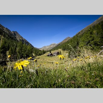 Rantental in der steirischen Krakau | © STG | Tom Lamm