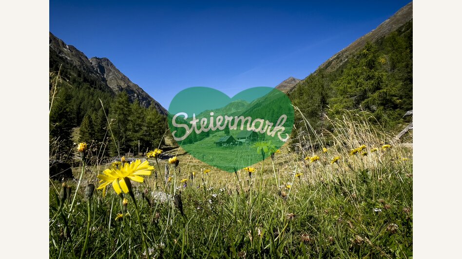 Rantental in der steirischen Krakau | © STG | Tom Lamm