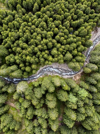 Schmelzbach schlingt sich durch die steirischen Wälder | © STG | Tom Lamm
