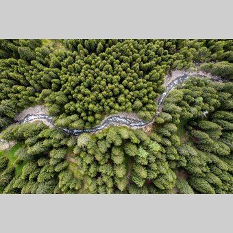 Schmelzbach schlingt sich durch die steirischen Wälder | © STG | Tom Lamm