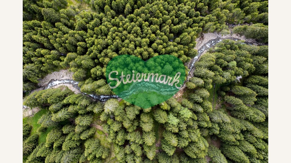 Schmelzbach schlingt sich durch die steirischen Wälder | © STG | Tom Lamm