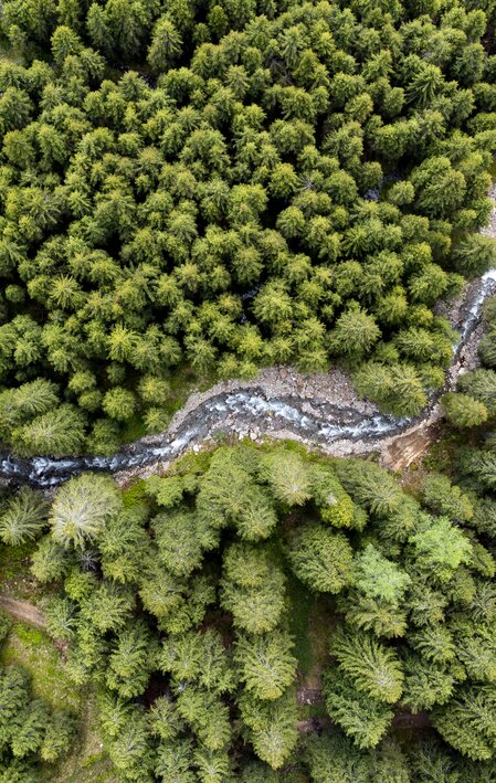 Schmelzbach schlingt sich durch die steirischen Wälder | © STG | Tom Lamm