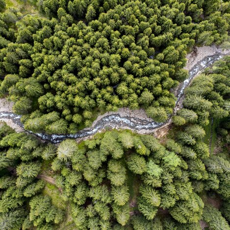 Schmelzbach schlingt sich durch die steirischen Wälder | © STG | Tom Lamm