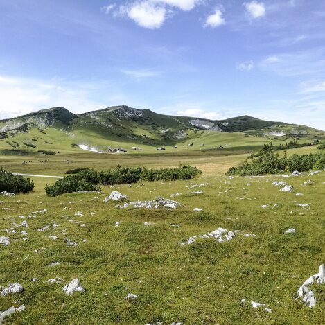 Auf der Schneealm im Naturpark Mürzer Oberland | © STG | Günther Steininger