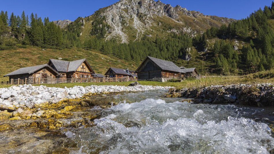 Quellweg auf der Ursprungalm | © STG | photo-austria.at