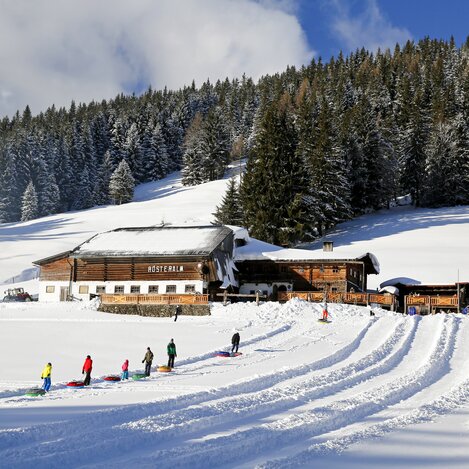 Rösteralm in Ramsau am Dachstein: Pferde, Hütte, Reifenrutschen, Rodeln und vieles mehr | © STG | photo-austria.at