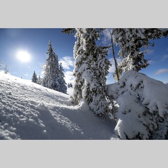 Winter auf der Frauenalpe | © STG | Tom Lamm