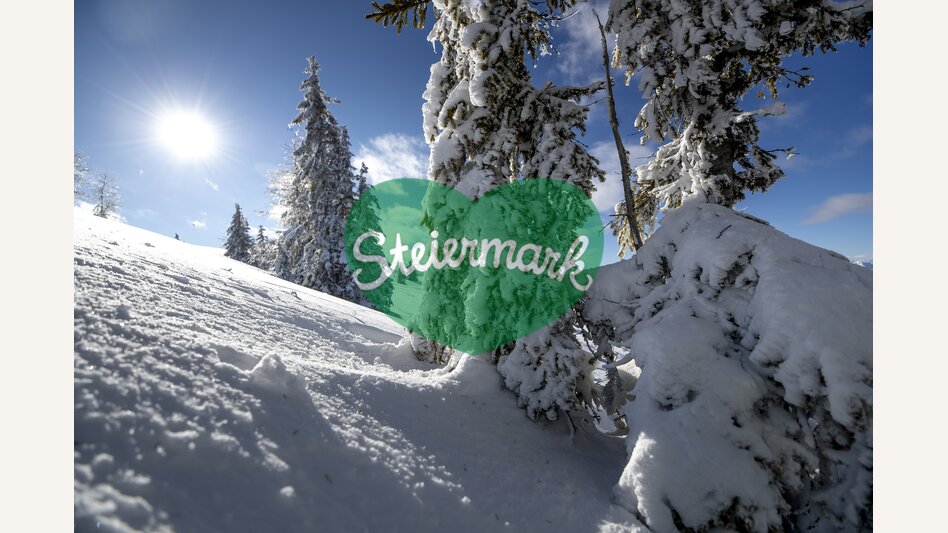 Winter auf der Frauenalpe | © STG | Tom Lamm