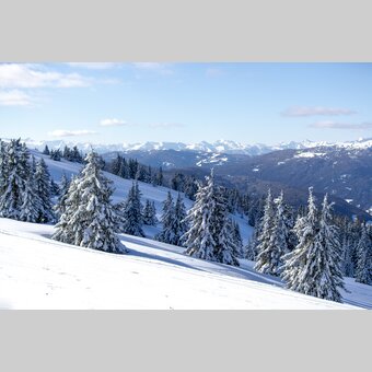 Winter auf der Frauenalpe | © STG | Tom Lamm