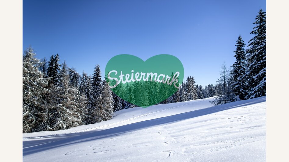 Auf der Frauenalpe | © STG | Tom Lamm