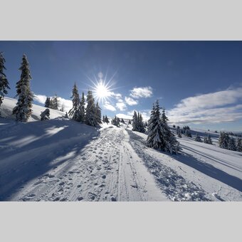 Winterwanderweg auf der Frauenalpe | © STG | Tom Lamm