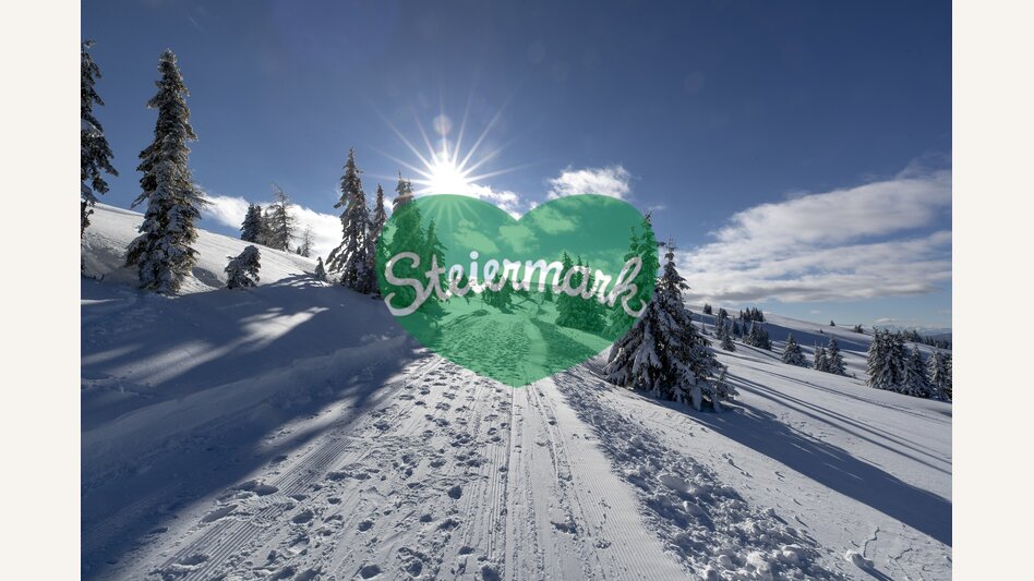 Winterwanderweg auf der Frauenalpe | © STG | Tom Lamm