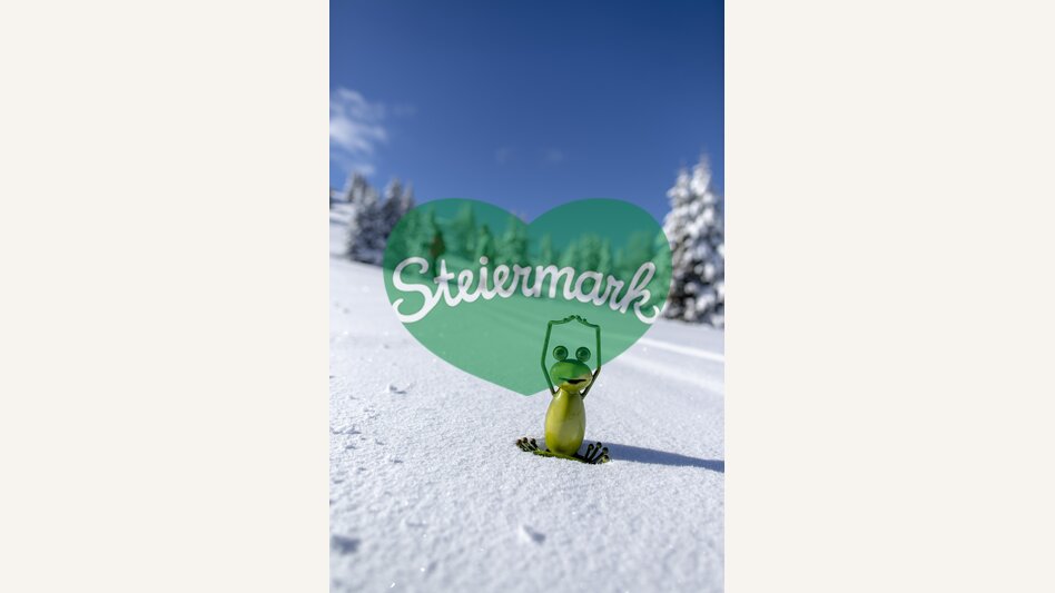 Steiermark-Frosch auf der Frauenalpe | © STG | Tom Lamm