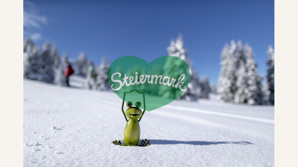 Steiermark-Frosch auf der Frauenalpe | © STG | Tom Lamm
