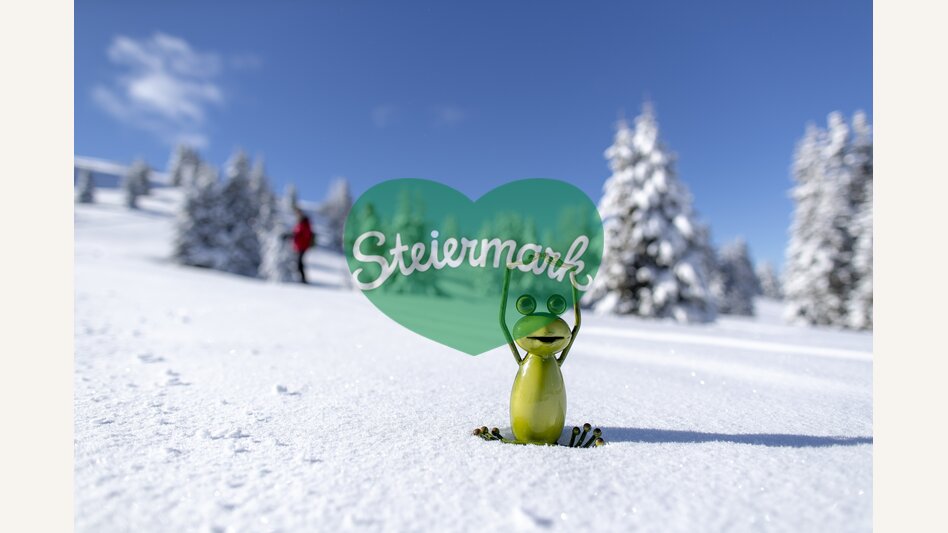 Steiermark-Frosch auf der Frauenalpe  | © STG | Tom Lamm