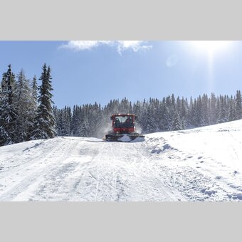 Winterwanderweg-Präparierung auf der Frauenalpe | © STG | Tom Lamm