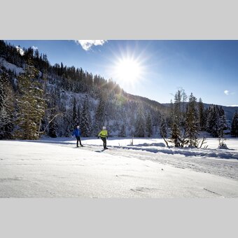 Langlaufen auf der Weirerteich-Loipe | © STG | Tom Lamm