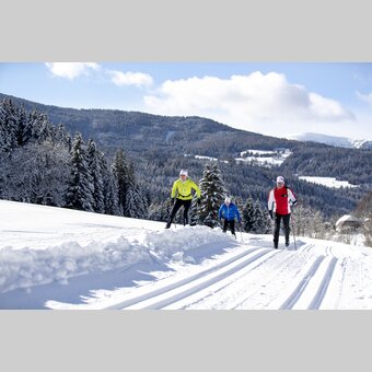 Langlaufen auf der Weirerteich-Loipe | © STG | Tom Lamm
