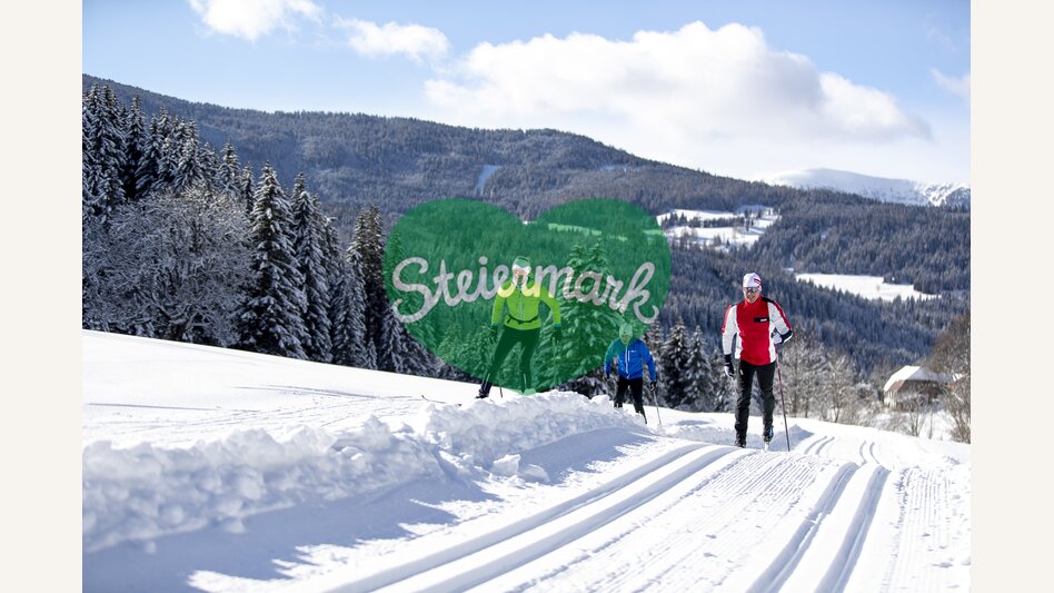 Langlaufen auf der Weirerteich-Loipe | © STG | Tom Lamm