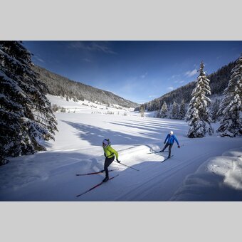 Langlaufen auf der Weirerteich-Loipe | © STG | Tom Lamm