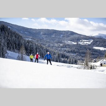 Langlaufen auf der Weirerteich-Loipe | © STG | Tom Lamm