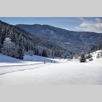 Langlaufen auf der Weirerteich-Loipe | © STG | Tom Lamm