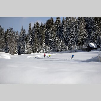 Langlaufen auf der Weirerteich-Loipe | © STG | Tom Lamm