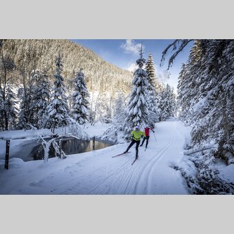 Langlaufen auf der Weirerteich-Loipe | © STG | Tom Lamm