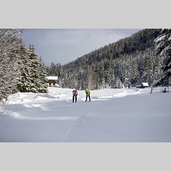 Langlaufen auf der Weirerteich-Loipe | © STG | Tom Lamm