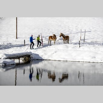 Langlaufen auf der Weirerteich-Loipe | © STG | Tom Lamm
