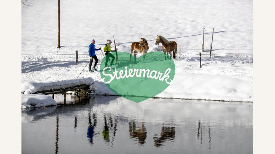 Langlaufen auf der Weirerteich-Loipe | © STG | Tom Lamm