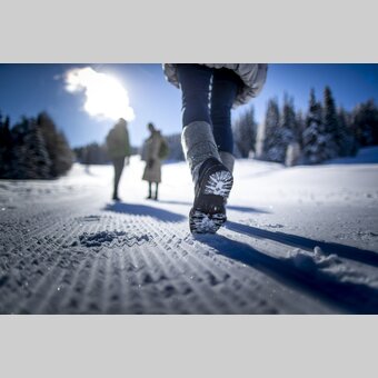 Spazieren gehen auf der Frauenalpe | © STG | Tom Lamm
