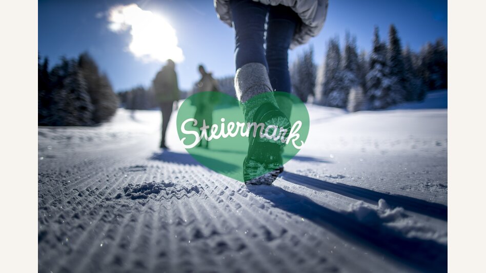 Spazieren gehen auf der Frauenalpe | © STG | Tom Lamm