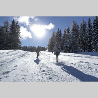 Spazieren gehen auf der Frauenalpe | © STG | Tom Lamm