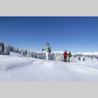 Schneeschuhwandern auf der Frauenalpe | © STG | Tom Lamm