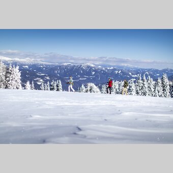 Schneeschuhwandern auf der Frauenalpe | © STG | Tom Lamm