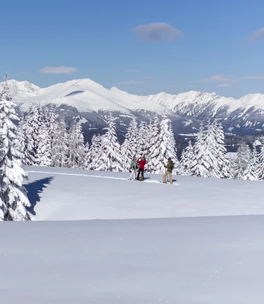Snowshoeing on the Frauenalpe | © Steiermark Tourismus | Tom Lamm