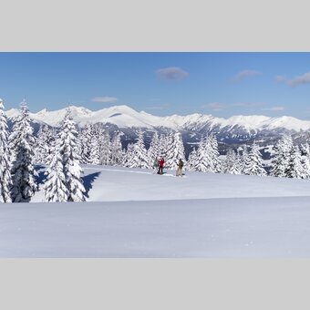 Schneeschuhwandern auf der Frauenalpe | © STG | Tom Lamm