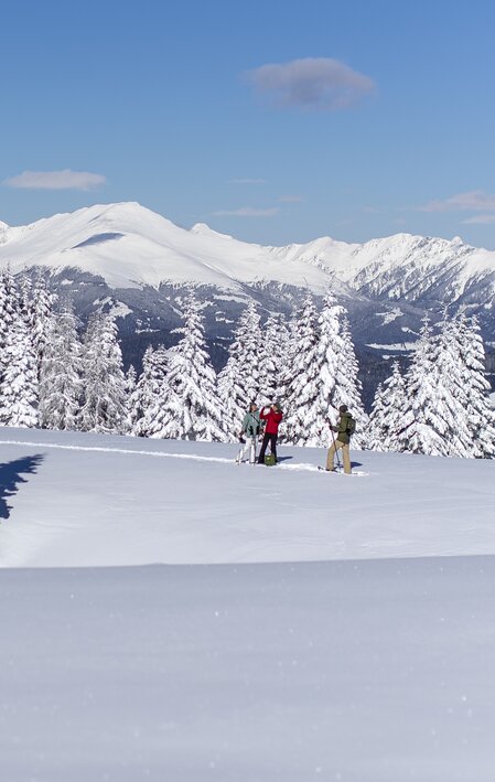 Snowshoeing on the Frauenalpe | © Steiermark Tourismus | Tom Lamm