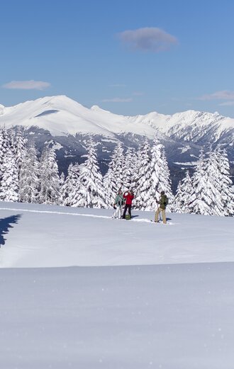 Snowshoeing on the Frauenalpe | © Steiermark Tourismus | Tom Lamm