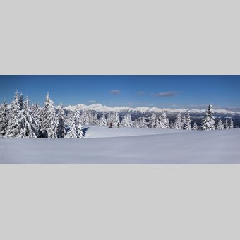 Schneeschuhwandern auf der Frauenalpe | © STG | Tom Lamm